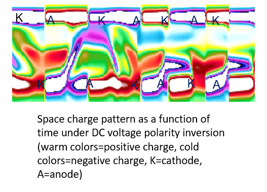 "Space Charge pattern as a funciton of time under DC voltage polarity inversion"